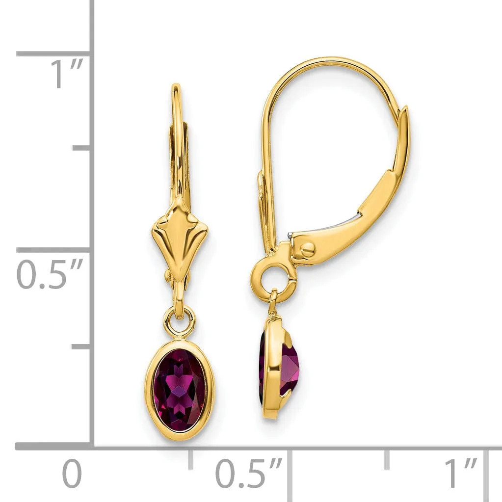 14k Yellow Gold Polished Rhodolite Garnet Earrings