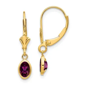 14k Yellow Gold Polished Rhodolite Garnet Earrings