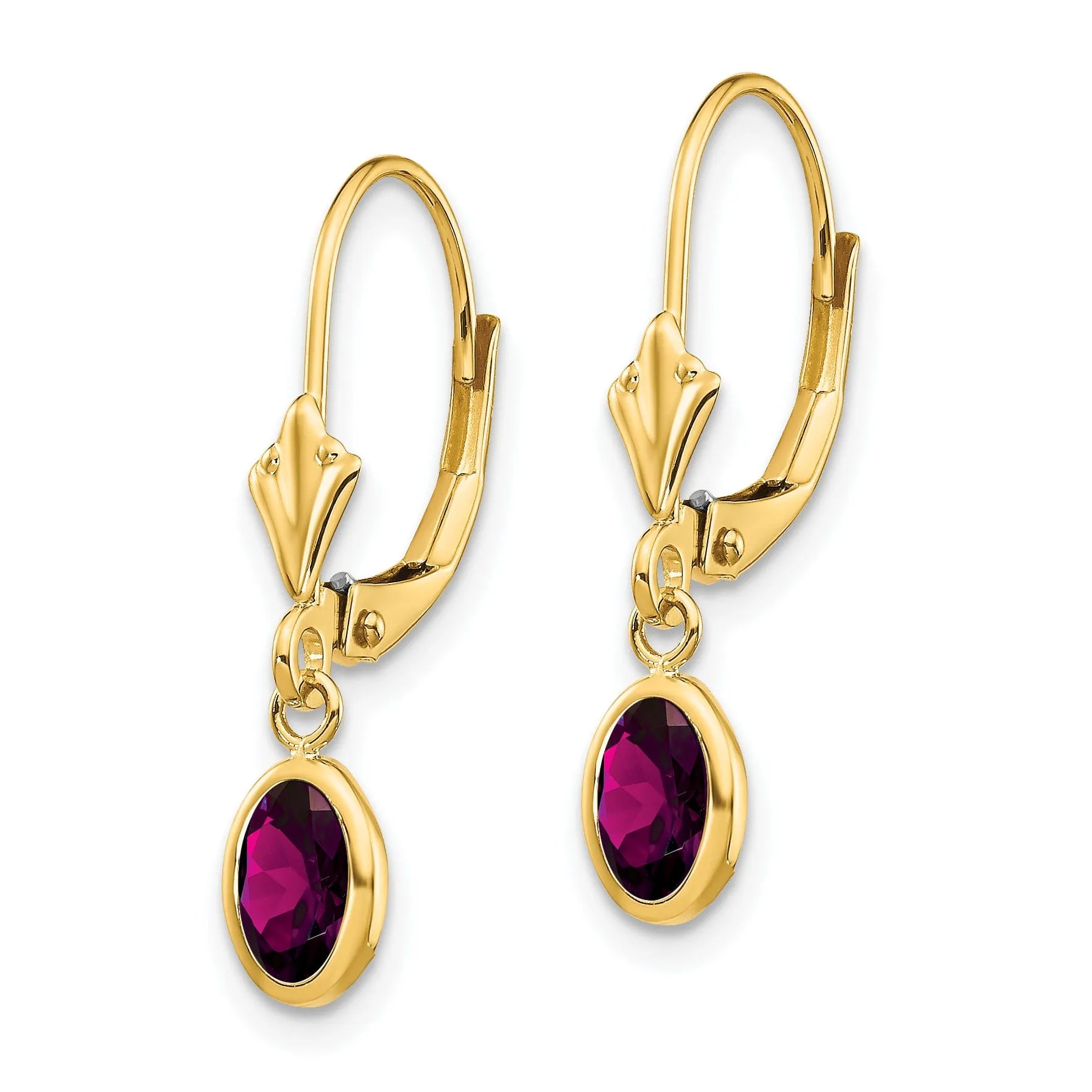 14k Yellow Gold Polished Rhodolite Garnet Earrings