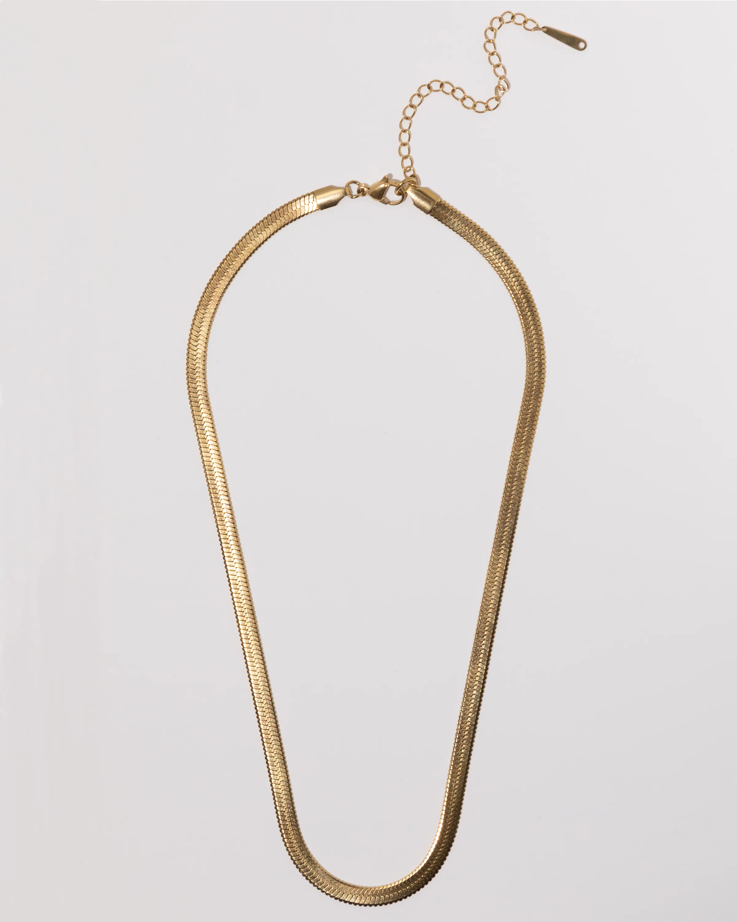 Layering Snake Chain Necklace