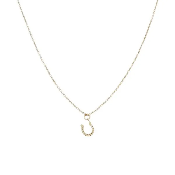 Magic Charm Horseshoe Necklace