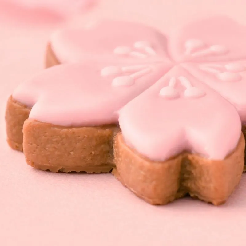SAKURA Sugar Cookie Necklace【Japan Jewelry】