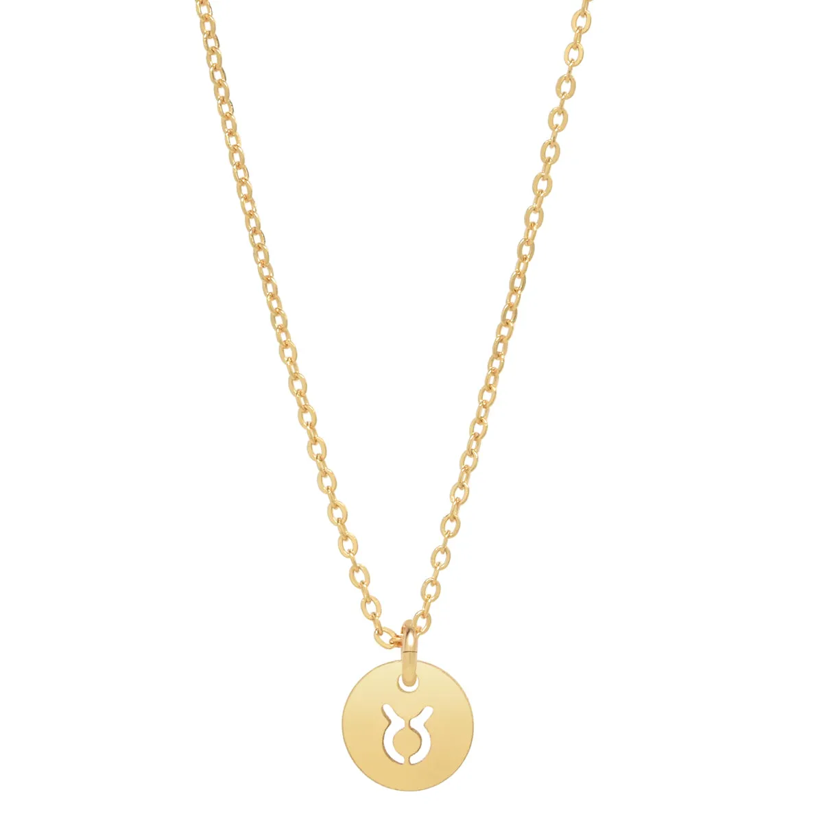 SALE - Zodiac Necklace