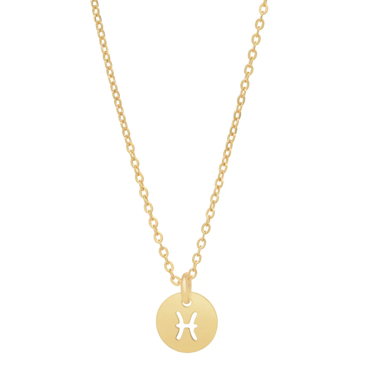 SALE - Zodiac Necklace