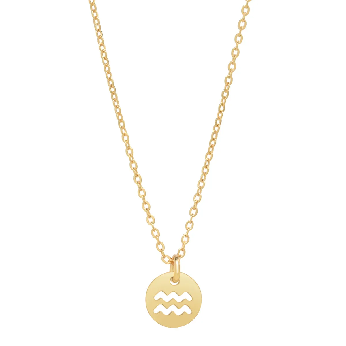 SALE - Zodiac Necklace
