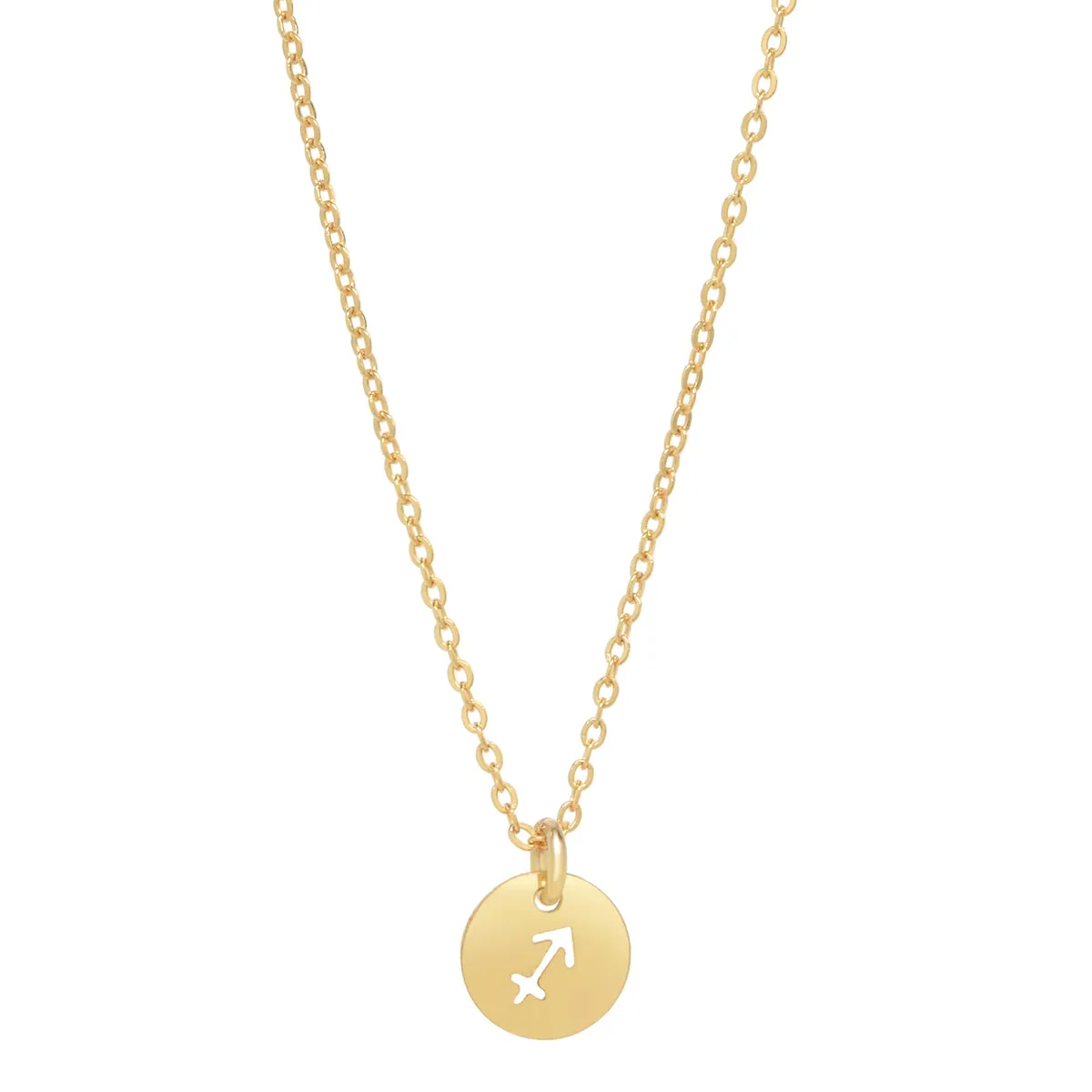 SALE - Zodiac Necklace