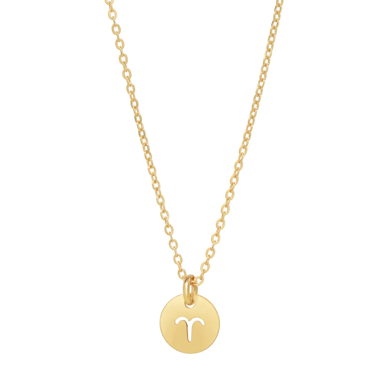 SALE - Zodiac Necklace