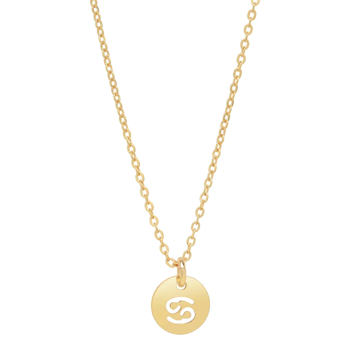 SALE - Zodiac Necklace