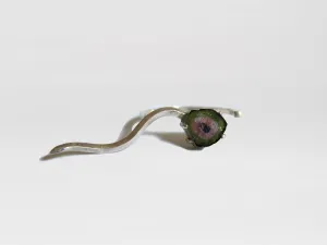Tourmaline Slice Ring In The Rough